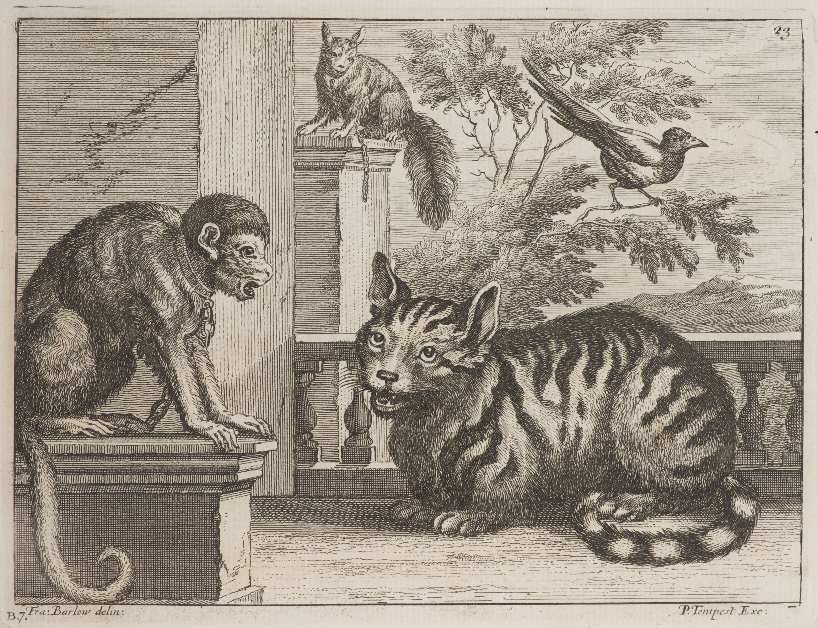 Lot 290