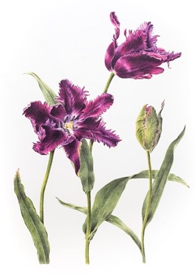 Lot 501 - Highgrove Florilegium.
