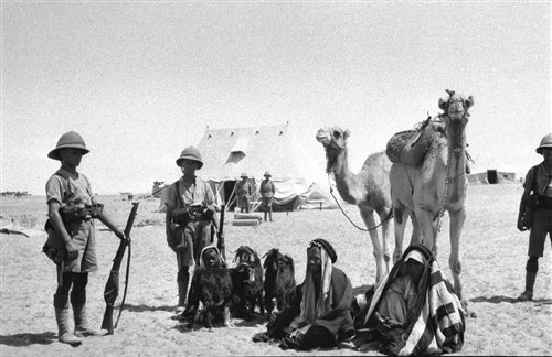 Lot 989 - World War I - Sinai & Palestine Campaign.