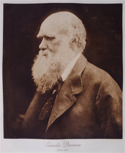 Lot 205 - Cameron (Julia Margaret, 1815-1879).