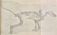 Lot 164 - Geological Society.