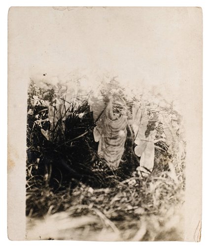 Lot 336 - The Cottingley Fairies.