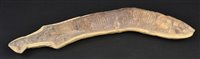 Lot 226 - Fossilised Fish