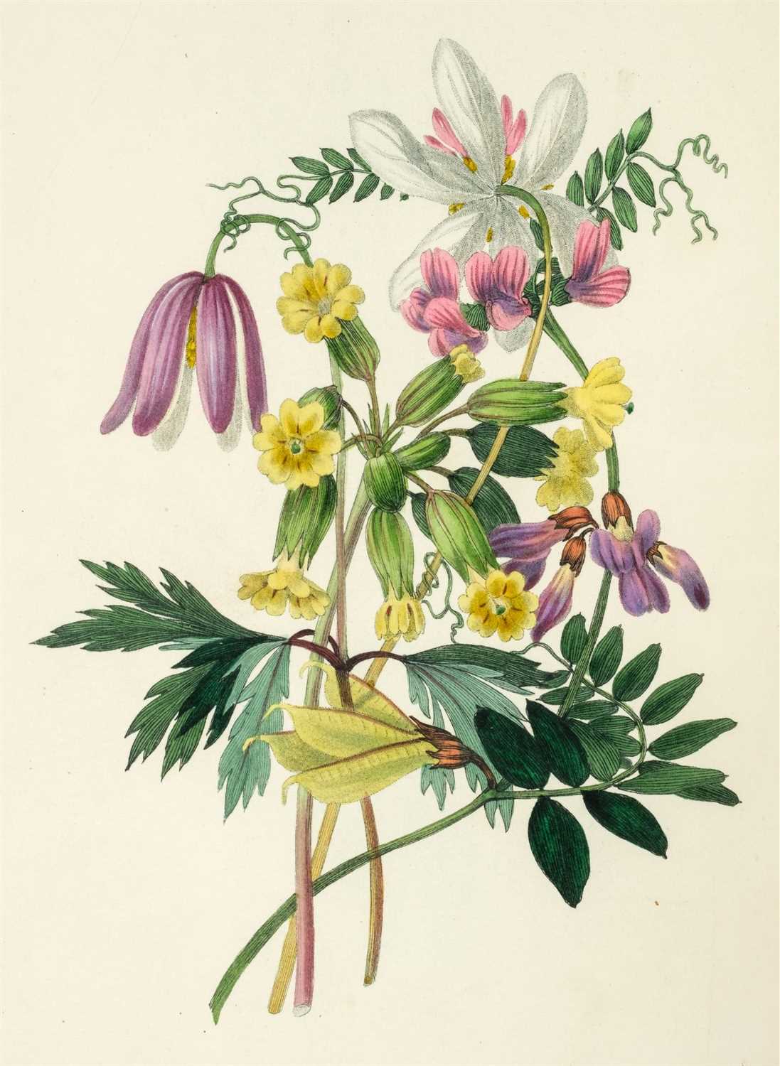 Lot 370 - Hey (Rebecca). The Moral of Flowers, 1833