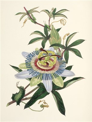 Lot 370 - Hey (Rebecca). The Moral of Flowers, 1833