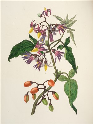 Lot 370 - Hey (Rebecca). The Moral of Flowers, 1833