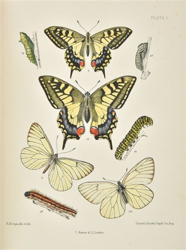 Lot 182 - Barrett (Charles G.). Lepidoptera of the British Islands, 11 volumes, 1st edition, [1892]-1907