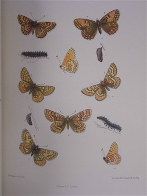 Lot 182 - Barrett (Charles G.). Lepidoptera of the British Islands, 11 volumes, 1st edition, [1892]-1907