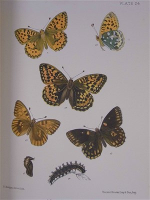 Lot 182 - Barrett (Charles G.). Lepidoptera of the British Islands, 11 volumes, 1st edition, [1892]-1907