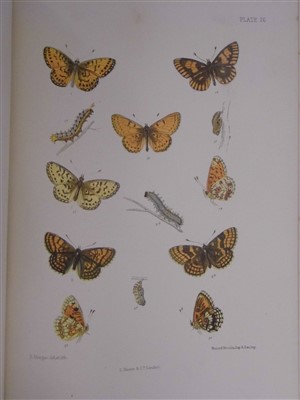 Lot 182 - Barrett (Charles G.). Lepidoptera of the British Islands, 11 volumes, 1st edition, [1892]-1907