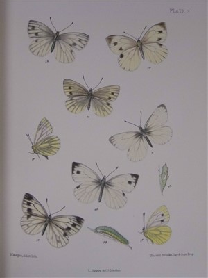 Lot 182 - Barrett (Charles G.). Lepidoptera of the British Islands, 11 volumes, 1st edition, [1892]-1907