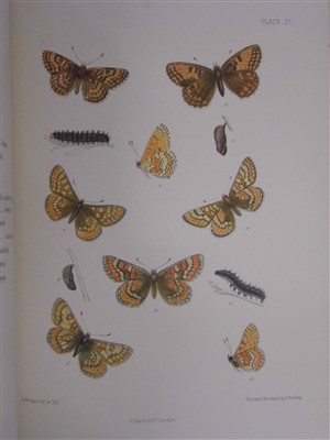Lot 182 - Barrett (Charles G.). Lepidoptera of the British Islands, 11 volumes, 1st edition, [1892]-1907