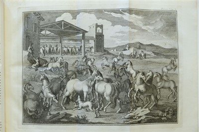 Lot 303 - Andrade (Manoel Carlos de). Luz da Liberal, 1790