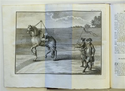 Lot 303 - Andrade (Manoel Carlos de). Luz da Liberal, 1790