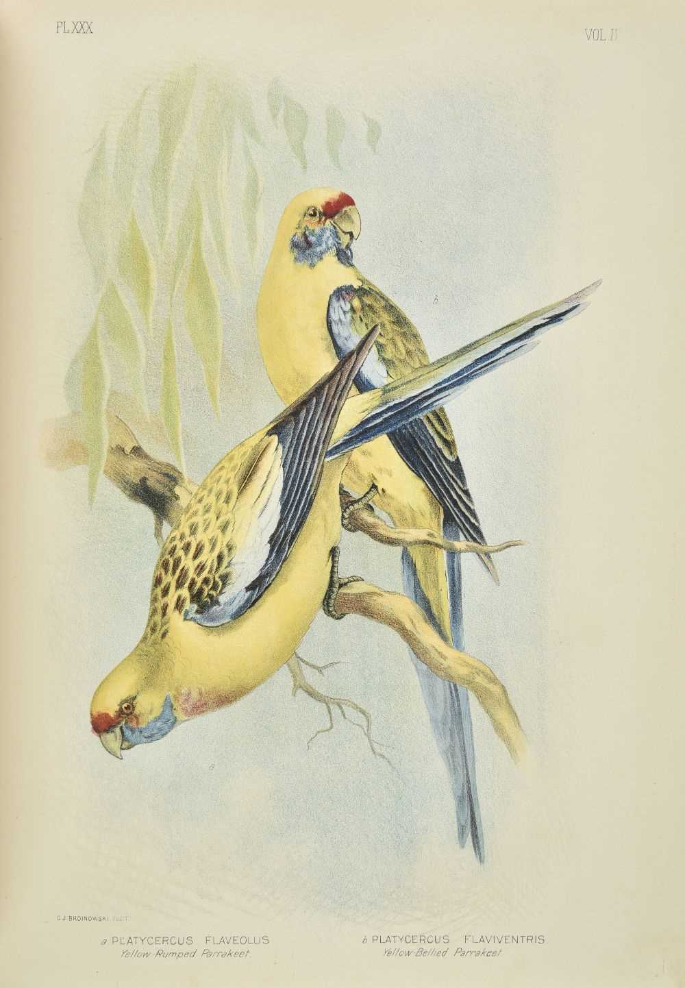 Lot 230 - Broinowski (Gracius J.). The Birds of Australia, 6 volumes, 1st edition, 1890-1