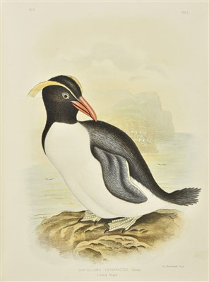Lot 230 - Broinowski (Gracius J.). The Birds of Australia, 6 volumes, 1st edition, 1890-1