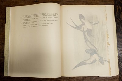 Lot 230 - Broinowski (Gracius J.). The Birds of Australia, 6 volumes, 1st edition, 1890-1