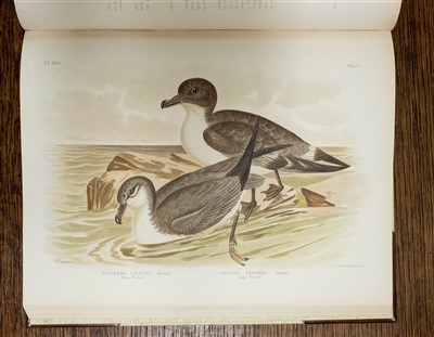 Lot 230 - Broinowski (Gracius J.). The Birds of Australia, 6 volumes, 1st edition, 1890-1