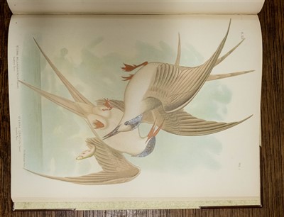 Lot 230 - Broinowski (Gracius J.). The Birds of Australia, 6 volumes, 1st edition, 1890-1
