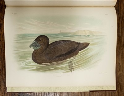 Lot 230 - Broinowski (Gracius J.). The Birds of Australia, 6 volumes, 1st edition, 1890-1