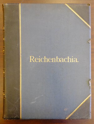 Lot 60 - Sander (Frederick). Reichenbachia, 4 volumes, 1st edition, 1886-95