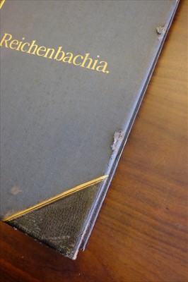 Lot 60 - Sander (Frederick). Reichenbachia, 4 volumes, 1st edition, 1886-95