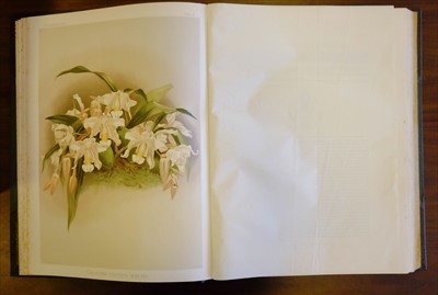 Lot 60 - Sander (Frederick). Reichenbachia, 4 volumes, 1st edition, 1886-95