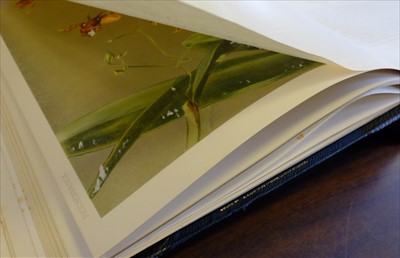 Lot 60 - Sander (Frederick). Reichenbachia, 4 volumes, 1st edition, 1886-95