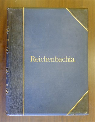 Lot 60 - Sander (Frederick). Reichenbachia, 4 volumes, 1st edition, 1886-95