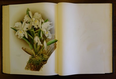 Lot 60 - Sander (Frederick). Reichenbachia, 4 volumes, 1st edition, 1886-95