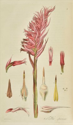 Lot 301 - Hooker (William Jackson). Exotic Flora, 3 volumes, 1st edition, 1823-27