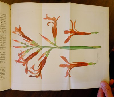 Lot 301 - Hooker (William Jackson). Exotic Flora, 3 volumes, 1st edition, 1823-27
