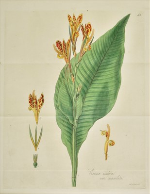Lot 301 - Hooker (William Jackson). Exotic Flora, 3 volumes, 1st edition, 1823-27