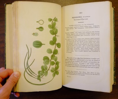 Lot 301 - Hooker (William Jackson). Exotic Flora, 3 volumes, 1st edition, 1823-27