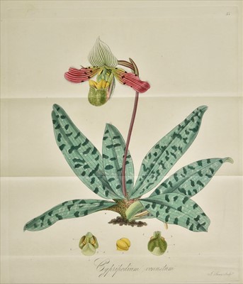 Lot 301 - Hooker (William Jackson). Exotic Flora, 3 volumes, 1st edition, 1823-27