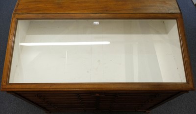 Lot 132 - Museum display cabinet