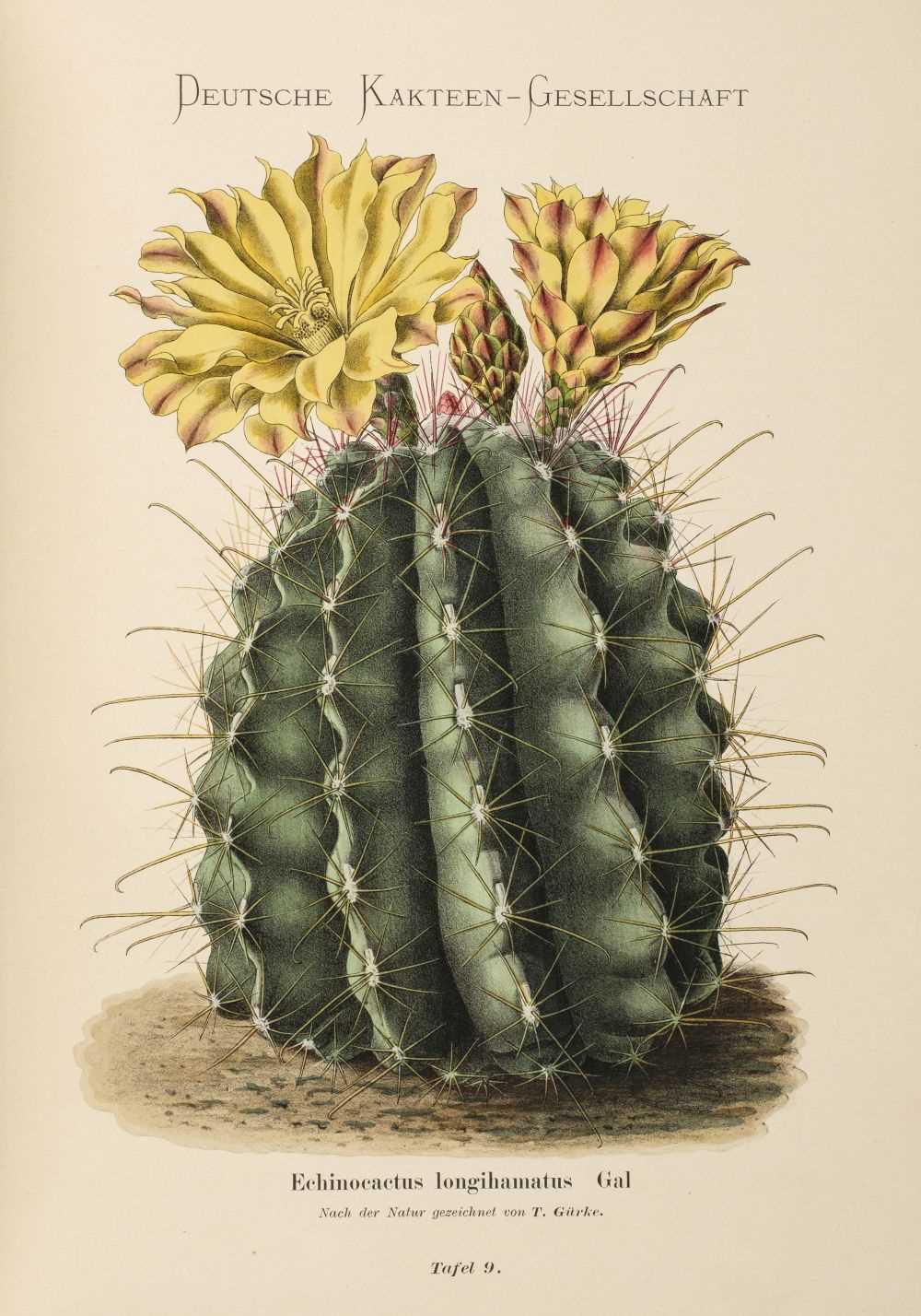 Lot 114 - Schumann (Karl). Blühende Kakteen (Iconographia Cactacearum), 1st edition, 1900-21