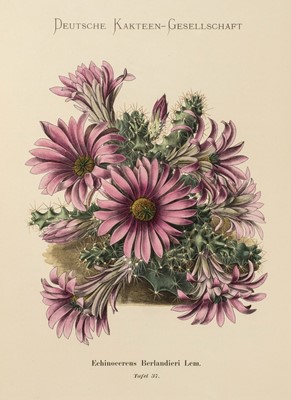 Lot 114 - Schumann (Karl). Blühende Kakteen (Iconographia Cactacearum), 1st edition, 1900-21