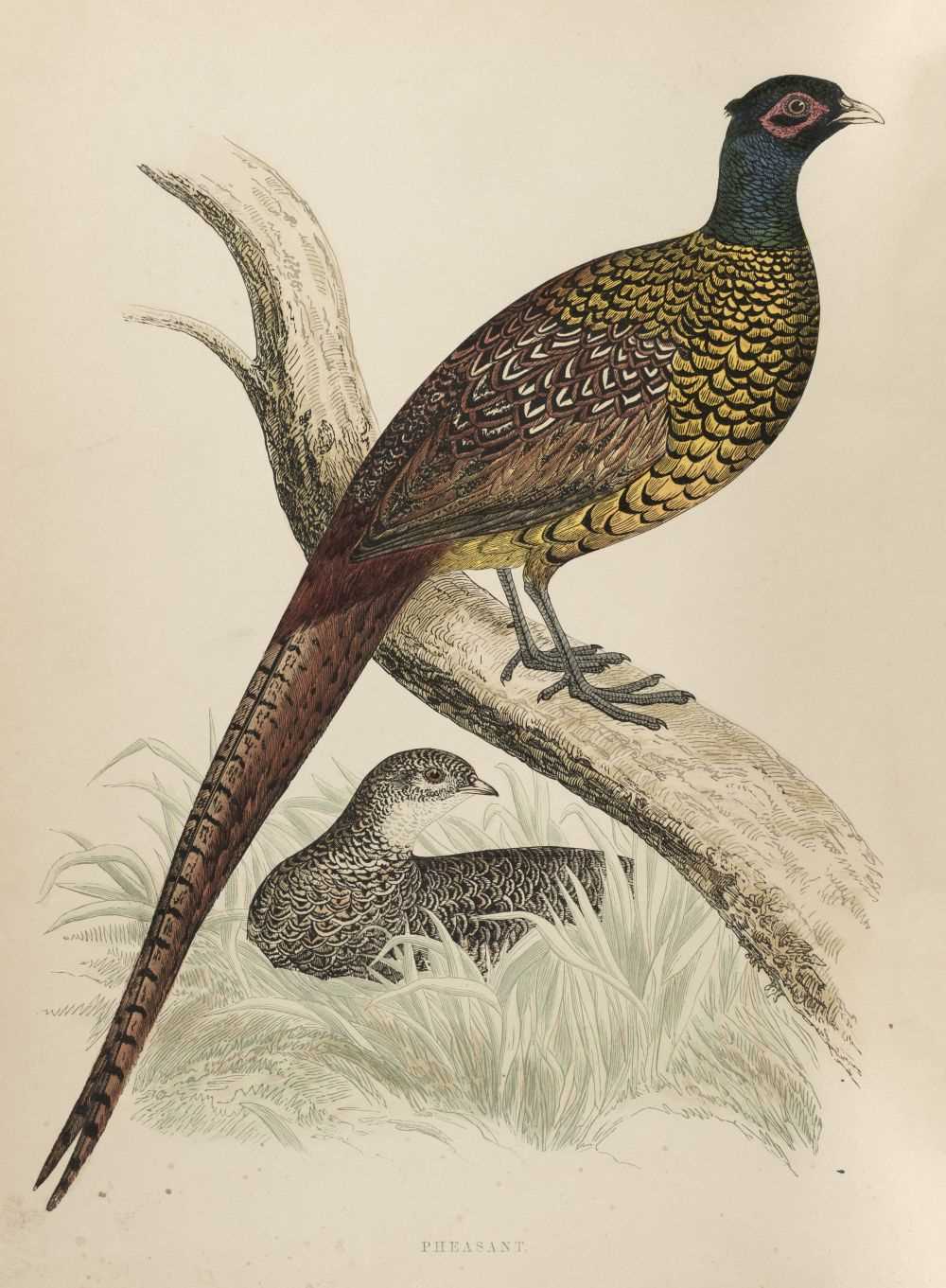 Lot 109 - Morris (Beverley R.) British Game Birds and Wildfowl, 1st edition, 1855