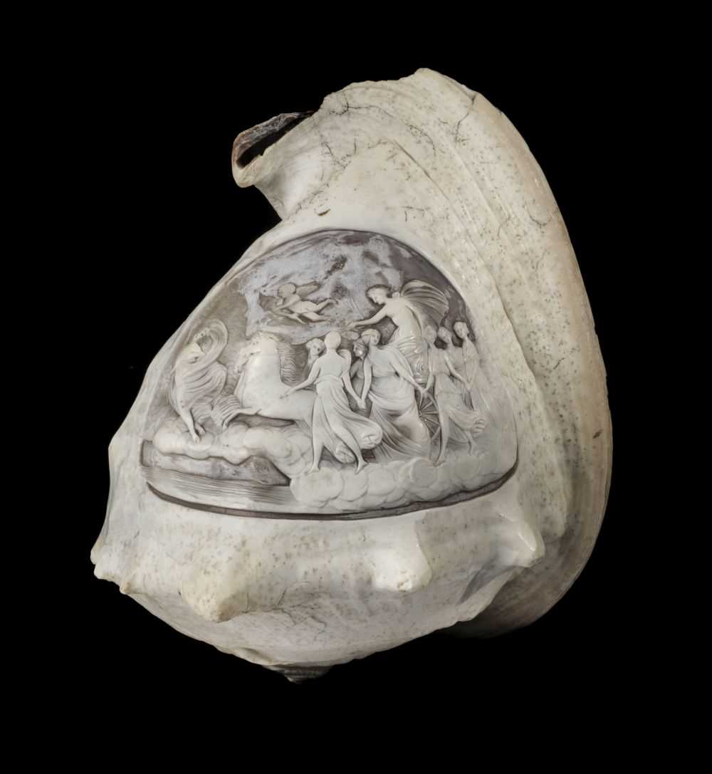 Lot 10 - Cameo. A 19th century conch shell