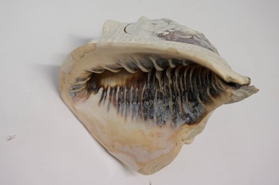 Lot 10 - Cameo. A 19th century conch shell