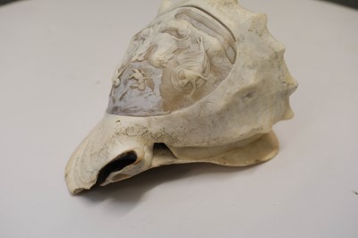 Lot 10 - Cameo. A 19th century conch shell