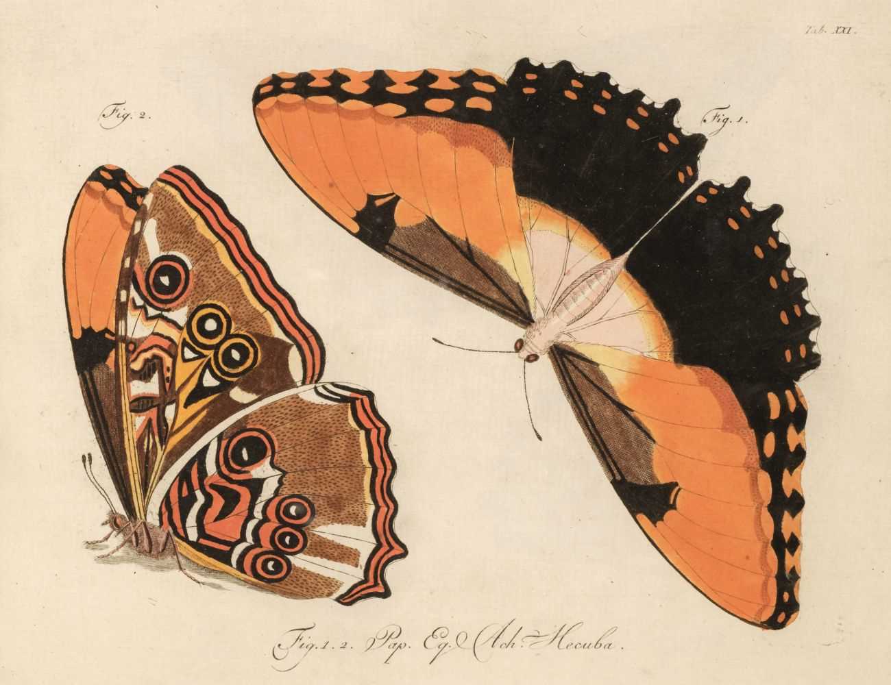 Lot 99 - Jablonsky (Carl Gustav & J.F.W. Herbst). Natursystem, 1783-1804