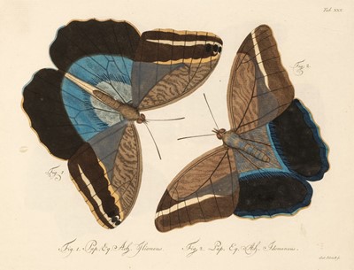 Lot 99 - Jablonsky (Carl Gustav & J.F.W. Herbst). Natursystem, 1783-1804