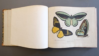 Lot 99 - Jablonsky (Carl Gustav & J.F.W. Herbst). Natursystem, 1783-1804