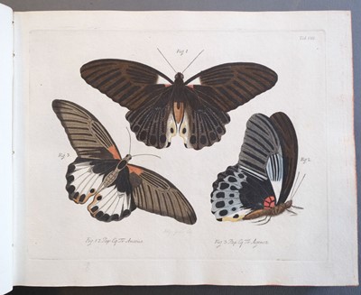 Lot 99 - Jablonsky (Carl Gustav & J.F.W. Herbst). Natursystem, 1783-1804