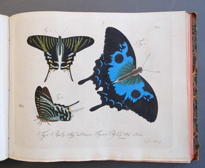 Lot 99 - Jablonsky (Carl Gustav & J.F.W. Herbst). Natursystem, 1783-1804