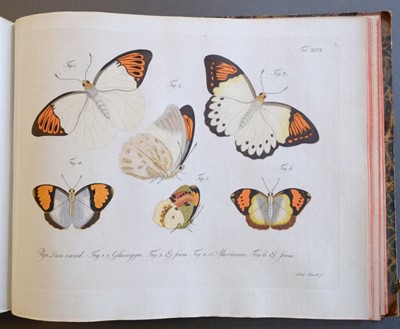 Lot 99 - Jablonsky (Carl Gustav & J.F.W. Herbst). Natursystem, 1783-1804
