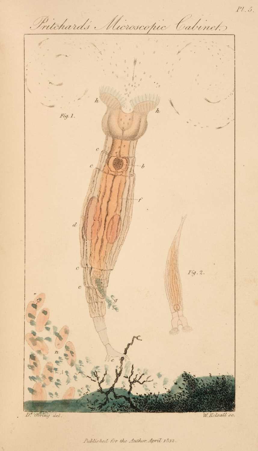 Lot 84 - Pritchard (Andrew). The Microscopic Cabinet of Selected Animated Objects... , 1st edition, 1832