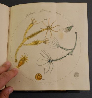 Lot 84 - Pritchard (Andrew). The Microscopic Cabinet of Selected Animated Objects... , 1st edition, 1832